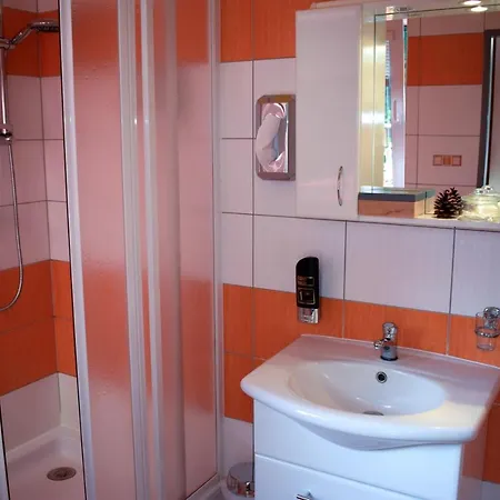 Rak Wellness 3* Černá v Pošumaví