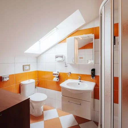 Rak Wellness בית הארחה Černá v Pošumaví