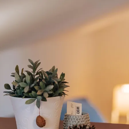 Rak Wellness בית הארחה