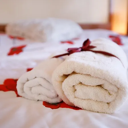Rak Guest house Cerna v Posumavi