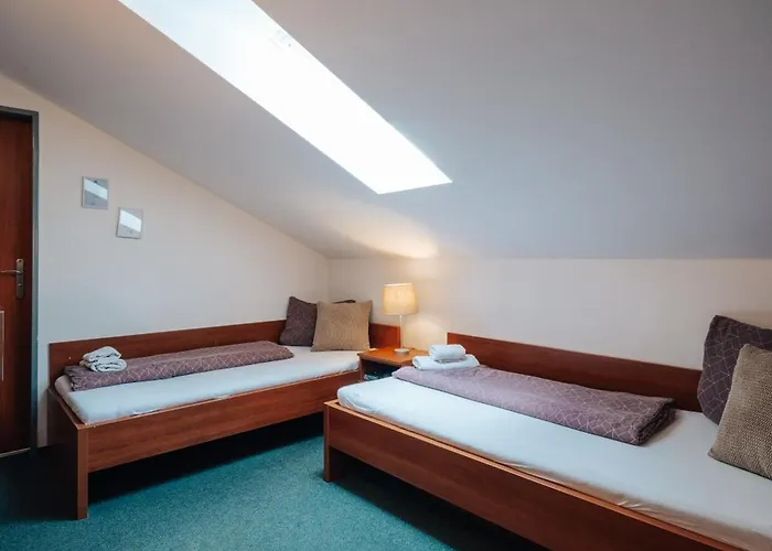 Rak Wellness 3* Černá v Pošumaví